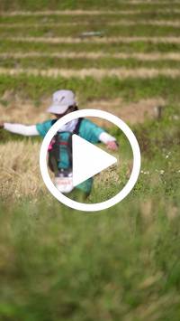 BIB:  <button type="button" onclick="openModal(26786899)" class="btn btn-primary btn-sm float-right" data-toggle="modal" data-target=".modal-high-quality">
                <i class="fa fa-download"></i> Download
                </button>